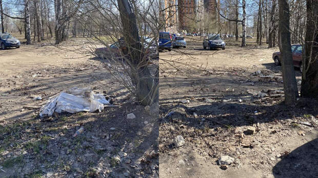 Портал «Наш Санкт-Петербург» игнорирует жалобы горожан на заваленные мусором дворы