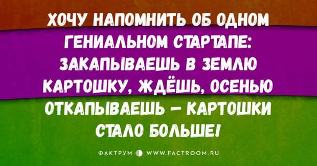 10 свежайших открыток с приколами, которые стопроцентно поднимут вам настроение!