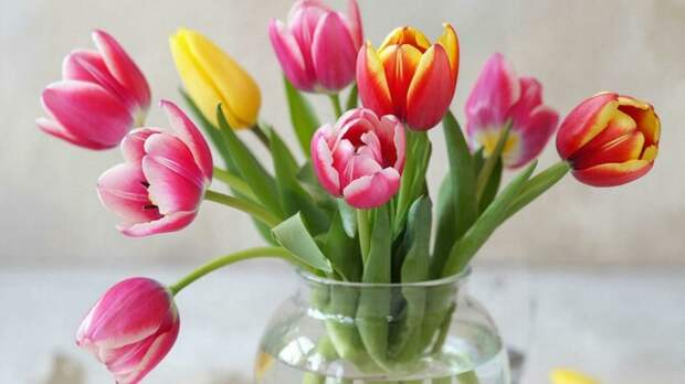 Формула свежести. Нестандартные, но эффективные способы сохранить букет как можно дольше