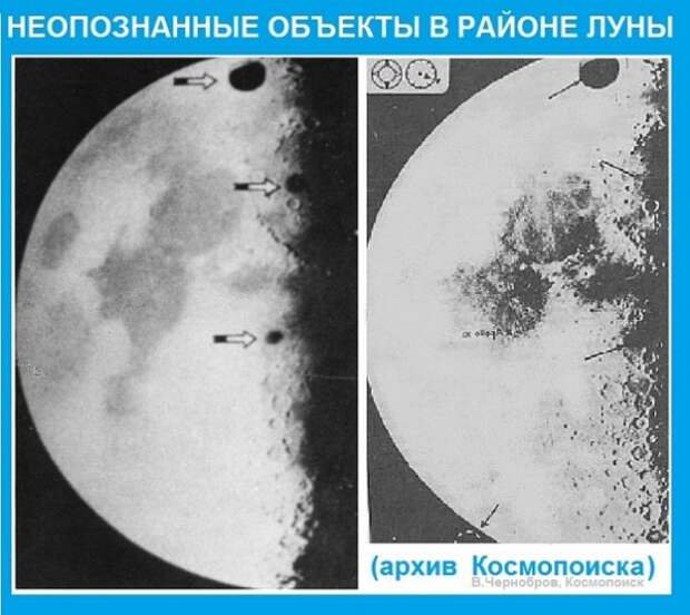 Кто обитает на Луне?