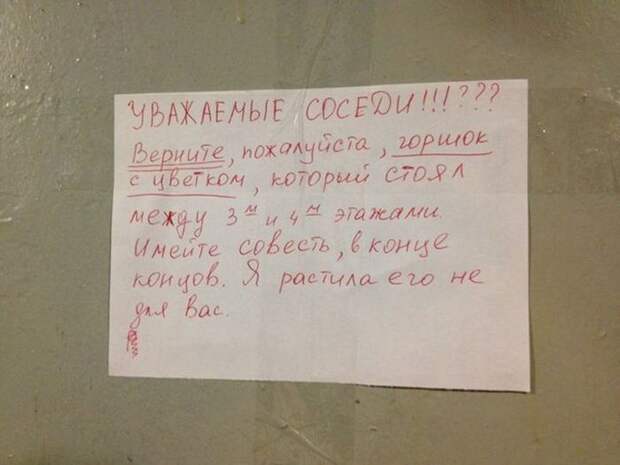 Прикольные картинки Прикольные картинки