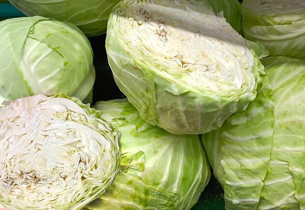 Доктор Мясников спасся от дикой боли с помощью капустного листа