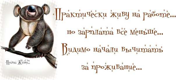 Смешные картинки дня. Правда жизни...
