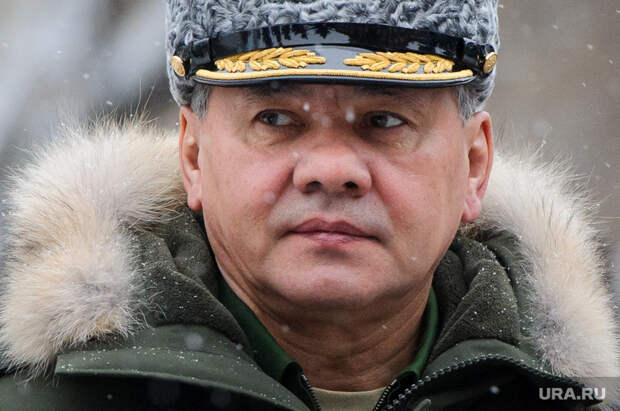 Шойгу и Фальков договорились вместе выполнить поручение Путина