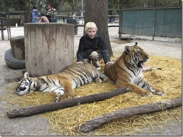 extreme-zoo_18_(funnypagenet.com)