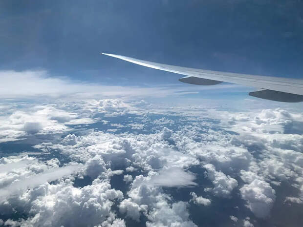 Эпштейн нервничал из-за задержки рейса Шуляк из Белоруссии