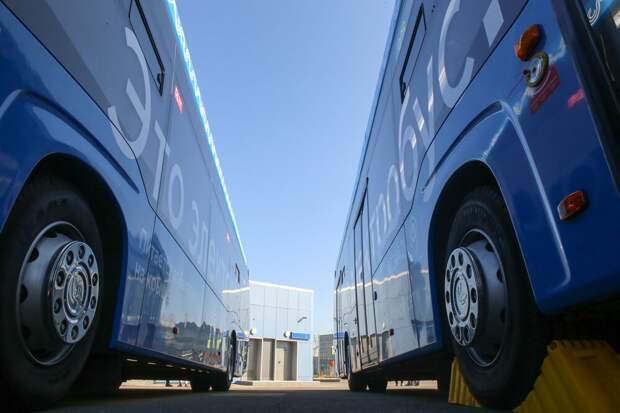 Электробусы. Фото: Ярослав Чингаев / Агентство «Москва»