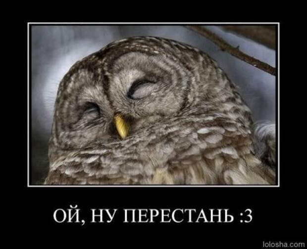 Демотиваторы! Ура! Отрывайся!