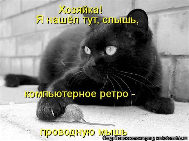 Лучшие котоматрицы недели (50 фото)