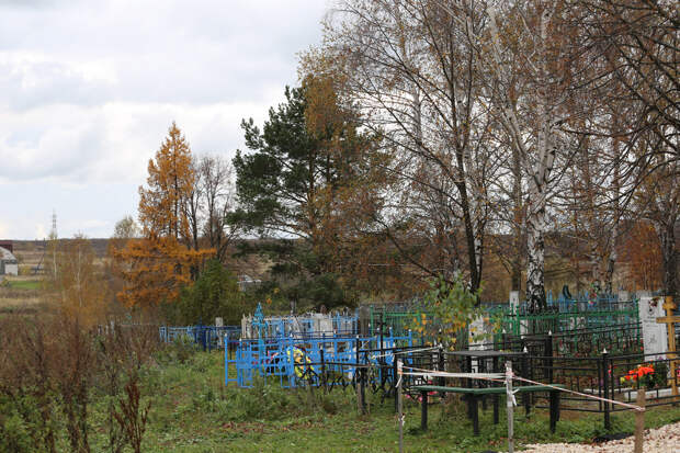 В Рязанской области выросла смертность населения