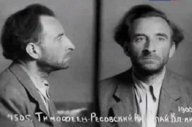 Отмененный конгресс, репрессированные генетики и другие научные достижения Отца народов