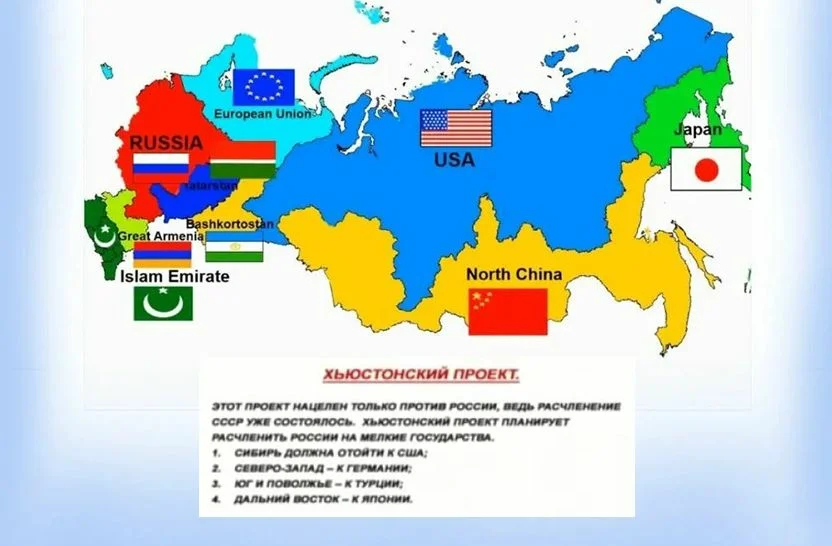 Крысы в панике. Кошка вышла погулять в своем дворе!