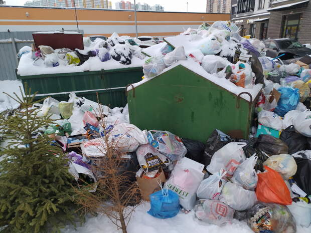 Чиновники оскорбились из-за клипа Шнурова о заваленном мусором Петербурге