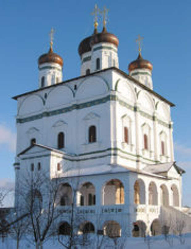 Павлиний глаз в Волоколамске