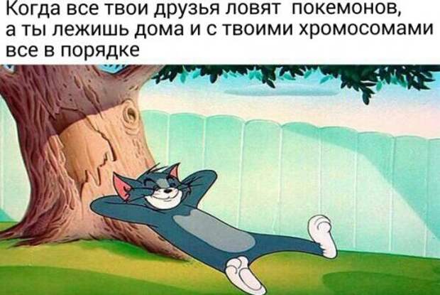 Ночной позитив: смешные картинки и фото (38 шт)