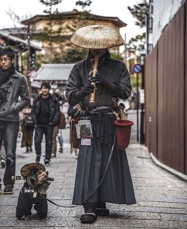 Нищий с собакой в Киото, зарабатывающий игрой на флейте