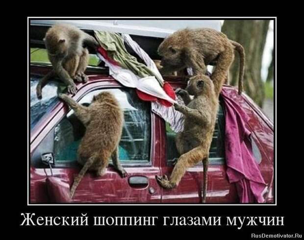 Веселые пятничные демотиваторы для улыбок (12 фото) Веселые пятничные демотиваторы для улыбок (12 фото)