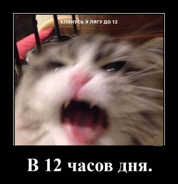 Забавные демотиваторы