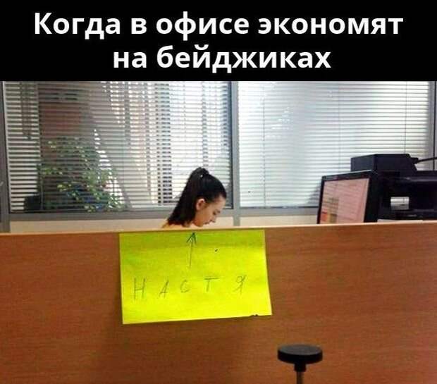 Приколы про работу в офисе