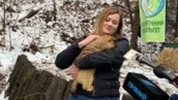 Сурок Тимка предсказал раннюю весну