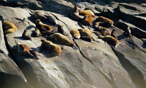 3 В 1809 году моряка вынесло на скалу посреди океана