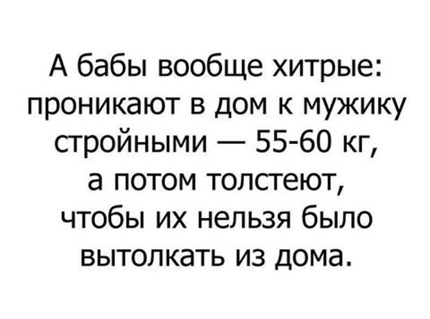 В лесу настощий праздник!... Все его обитатели пьяные в хлам... Песни орут... танцуют!...