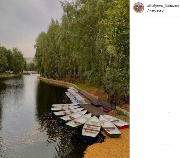 Фото дня: пруд Лианозовского парка «ощетинился»