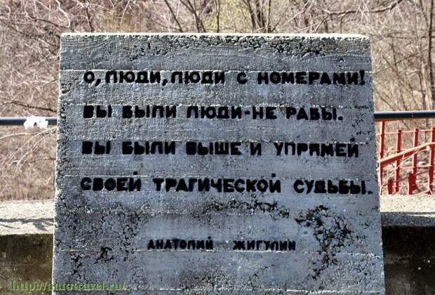 116.jpg