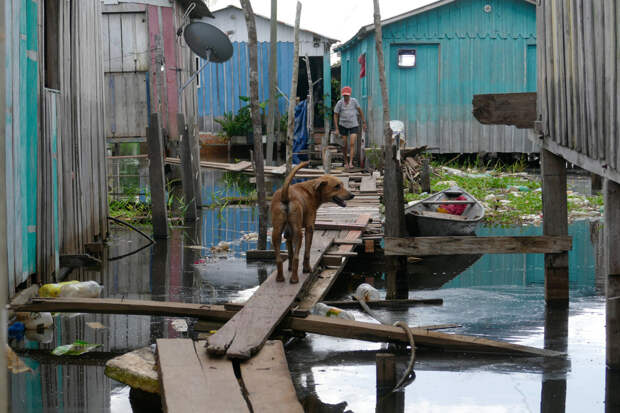 В Бразилии число жертв наводнения выросло до 46