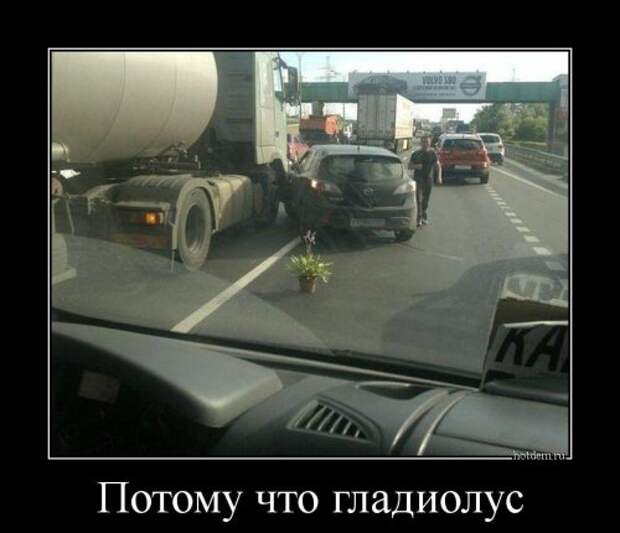 00e38431a13ceca (500x430, 35Kb)