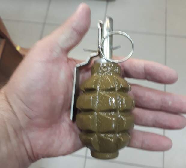 Жительницу Ростова-на-Дону нашла на балконе своей квартиры боевую гранату Ф-1