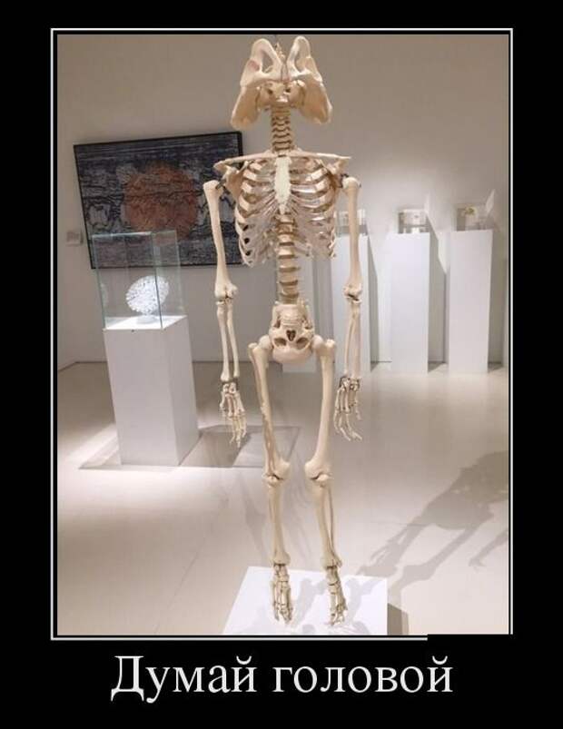 1476126143_10