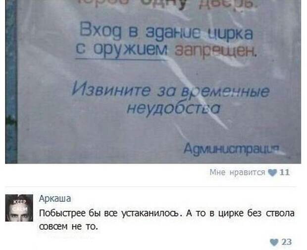 Прикольные картинки
