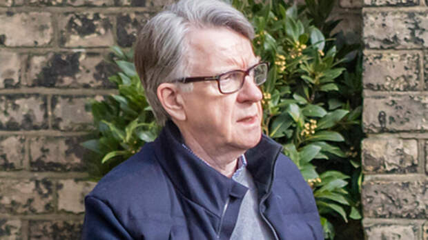 Sky News: экс-посла Британии в США задержали по делу Эпштейна