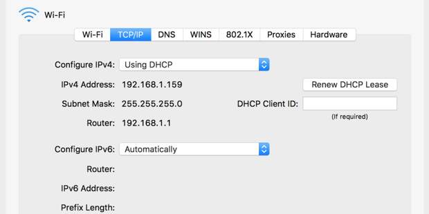 Renew IP on Mac
