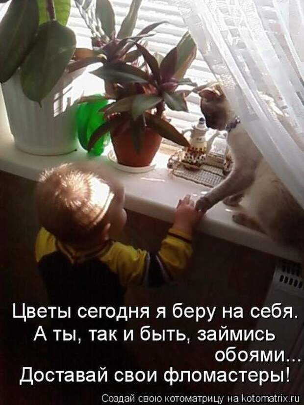 Мысли вслух :)