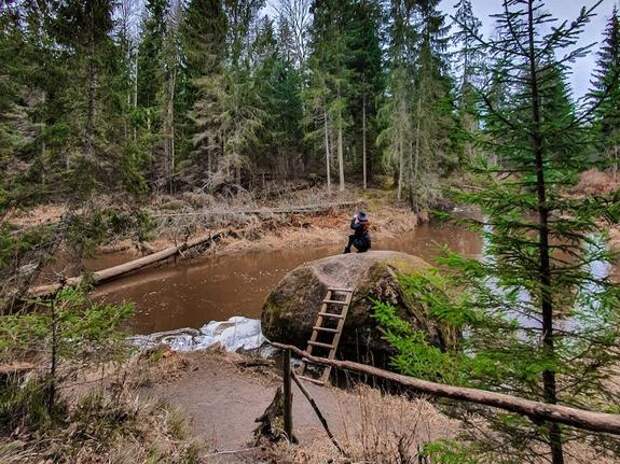 Игорь Николаев с удовольствием отдыхает в Латвии