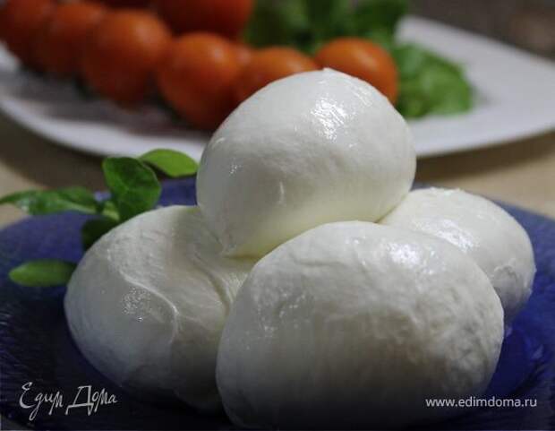 Сыр Моцарелла (Mozzarella) Сыр Моцарелла (Mozzarella)