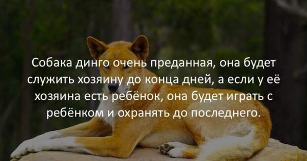 Занимательные факты Занимательные факты интересно, любопытно, факты