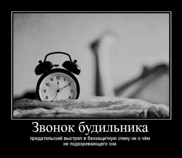 Картинки про будильник смешные