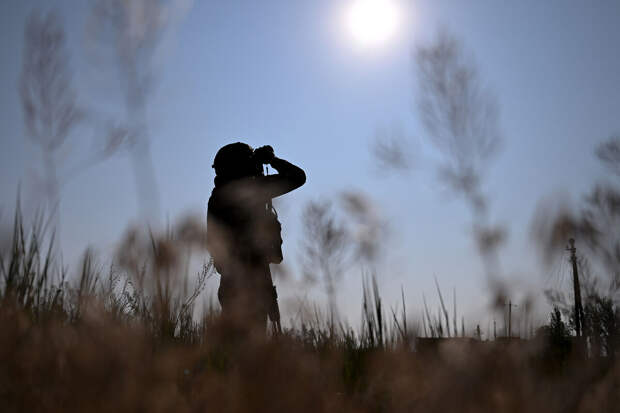 Минобороны РФ: ВС России сбили датский беспилотник RQ-35 Heidrun