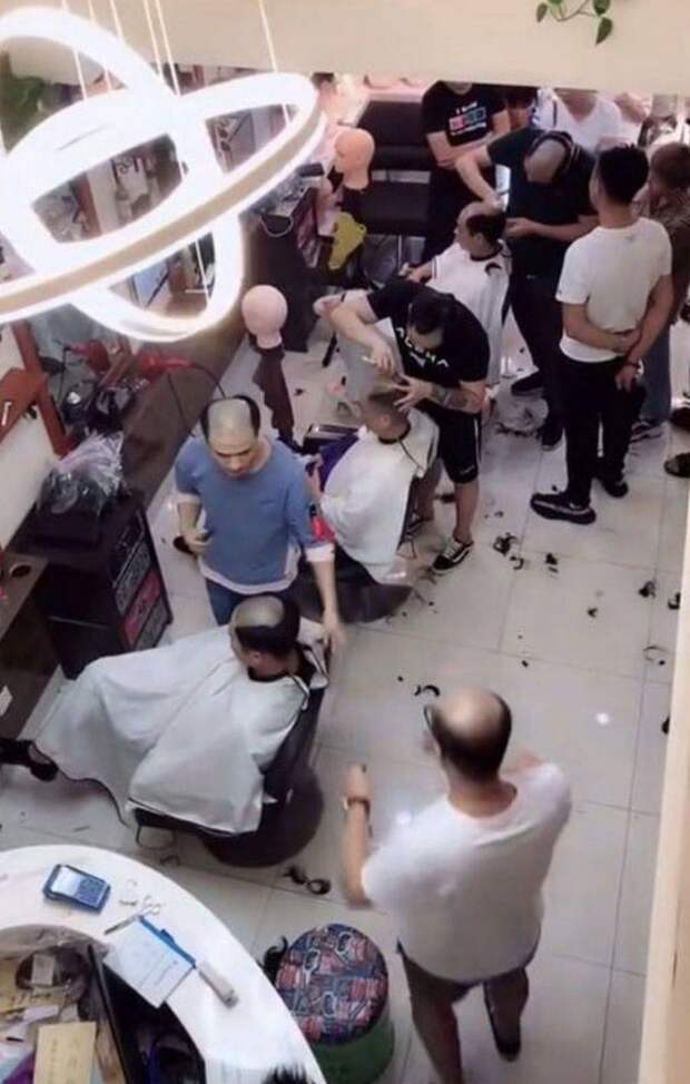 Подборка прикольных картинок