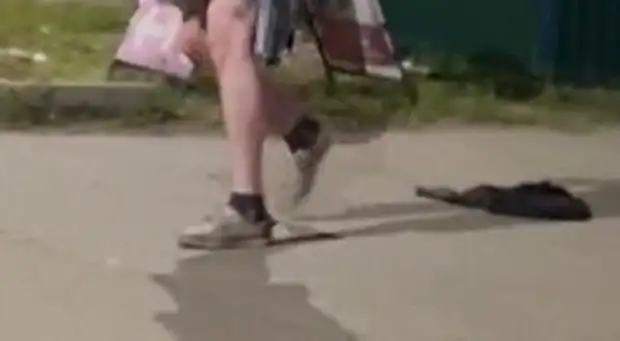 Дикая дурь: на Кубани разгуливал мужик без штанов ВИДЕО