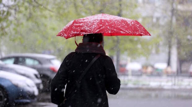 Об аномальном снеге и метели в конце апреля в Москве предупредил синоптик