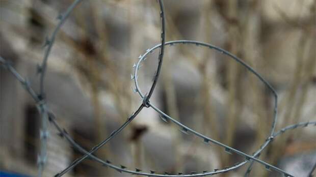 ЕК указала на сохраняющуюся проблему пыток в украинских тюрьмах