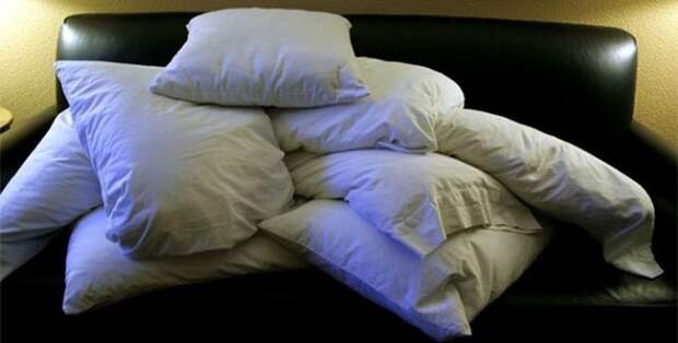 интересное, планета, жизнь, животные, люди, факты