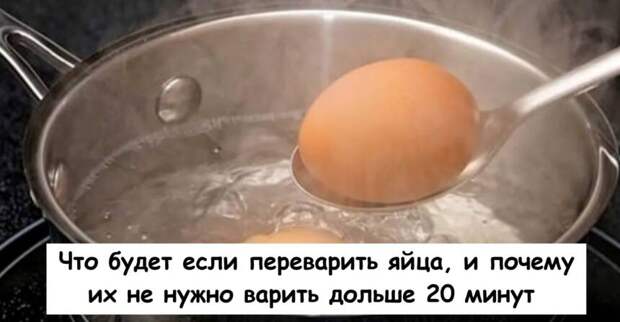 Что будет если переварить яйца, и почему их не нужно варить дольше 20 минут