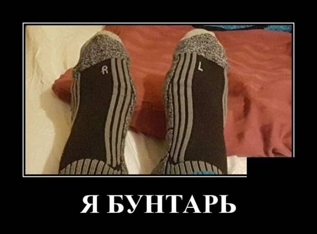 Демотиваторы (30 фото)