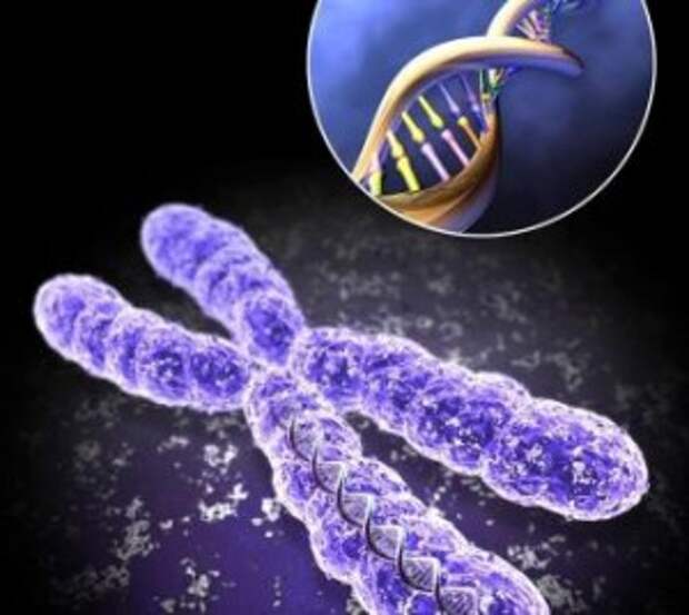 Торсионные поля – влияние СЛОВА на ДНК человека
