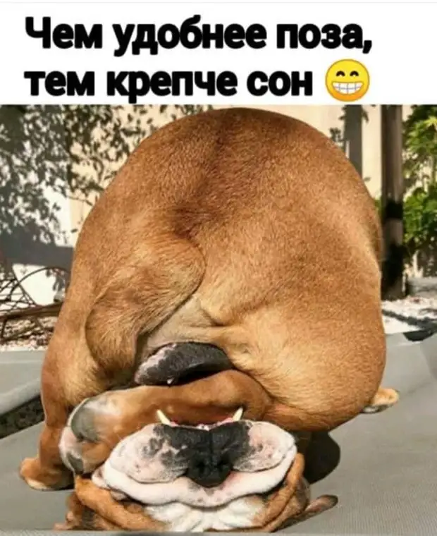 Продам дрова. Недавно наломала Продам дрова. Недавно наломала приходит, Новый, термос, холодным, после, говорит, чтобы, купила, рецепт, горячее, остается, холодное, Девушка, горячим, долларов, девушка, только, уставились, просто, черeз